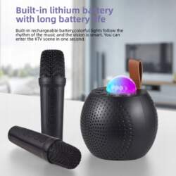 Karaoke Machine Mini Wireless Microphone and