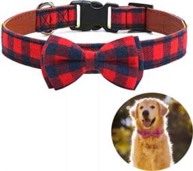 Leather Material Collar with Fly for