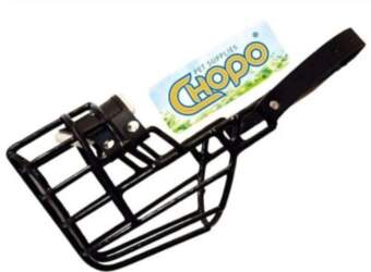 Physiological muzzle Chopo Dalmatian Labrador Husky