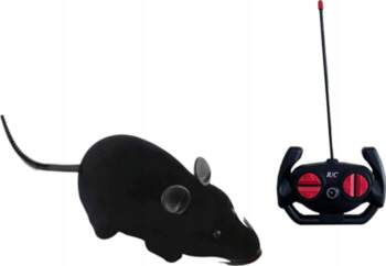 Remote control mouse and cat interaction