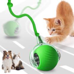 Reverse INTERACTIVE BALL ESCAPING FOR CAT