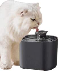 SHEIN CAT DRINKER S07__2L