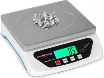 Steinberg Systems EXACT LETTER SCALE POSTAL