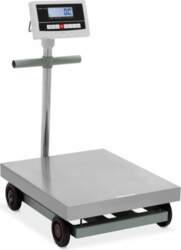 Steinberg Systems PLATFORM SCALE 50 x