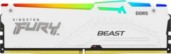 Oleo Kingston | Fury Beast |