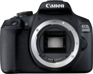 Oleo Canon | D.CAMERA EOS