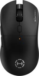 Oleo Edifier | Pele | G3M