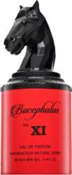 Armaf Bucephalus No. XI EDP M