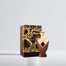 Paris Corner Prodigy EDP 100 ml