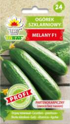 Sēklas Gurķi Melany F1