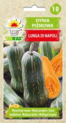 Ķirbis Lunga di Napoli