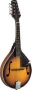 Mandolīna Stagg M40 S