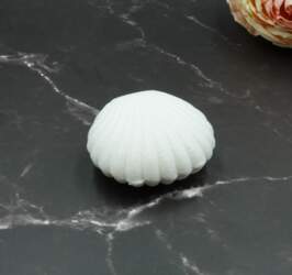 Dāvanu kastīte Lux Shell AA-163