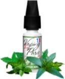 Fresh Mint