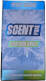 Menthol Apple 10ml