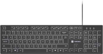 Natec | Herring Glow | Keyboard