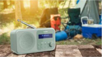Sharp Tokyo Digital Radio | DR-P420(GN)