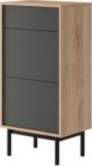 Piaski(EUR) Basic apavu skapis 54