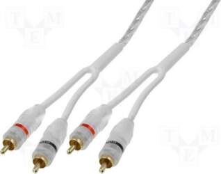 RCA-A2.100