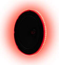 DD Audio LED RGB Ring 8"