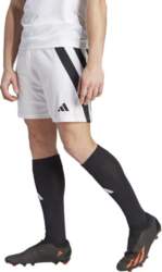Adidas Šorti Fortore 23 M