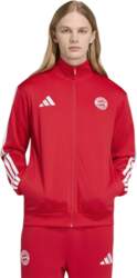 Adidas FC Bayern DNA treniņtērps KG2569