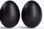 BS Chicken shake oliņas - black