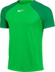 Nike DF Adacemy Pro SS Top
