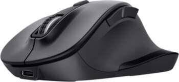 Trust Fyda Multi-device Wireless Mouse (25708)