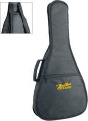 Boston bag for Mandolin MD-10