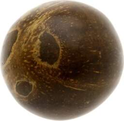 Danmoi Coconut Shaker CR-09