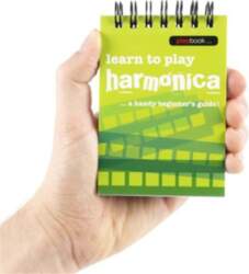 Hal Leonard Playbook: Learn To Play
