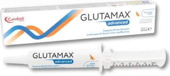 Candioli GlutaMax Advanced pasta 30 ml