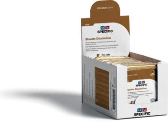Specific FSW Struvite Dissolution 7 x