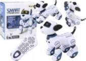 LEAN Toys Remote Controlled Interactive Robot