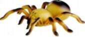 LEAN Toys Remote Controlled Spider tarantula
