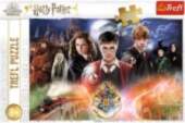 Trefl Harry Potter Puzzle 300 pcs