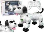 LEAN Toys Interactive Remote Controlled Robot
