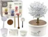 LEAN Toys Magic Tree Crystal Growing