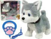 LEAN Toys Plush Dog Interactive Educational