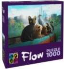 Brain Games Brain Games FLOW Puzzle