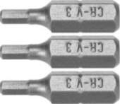 Dedra Dedra Hex H3x25mm screwdriver bits