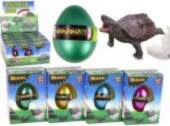 LEAN Toys Hatching Magic Turtle Egg