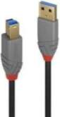 Lindy CABLE USB3.2 A-B 1M/