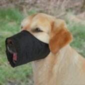 TRIXIE Trixie Polyester muzzle 4