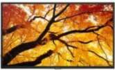 Sharp MultiSync M322 32" VA 16:9