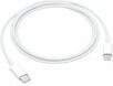 Apple USB-C to Lightning cable (1