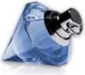 Chopard Wish EDP 30ml Parfīms