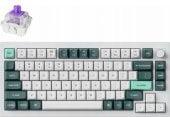 Keychron Q1 HE 75% Magnetic Switch