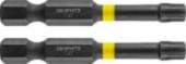 Graphite Graphite Screwdriver bit (TX27 x